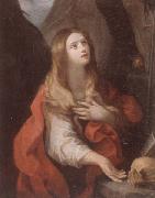 unknow artist The penitent magdalene Sweden oil painting artist